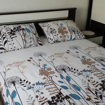 Zoja Апартаменты Мали-Лошинь